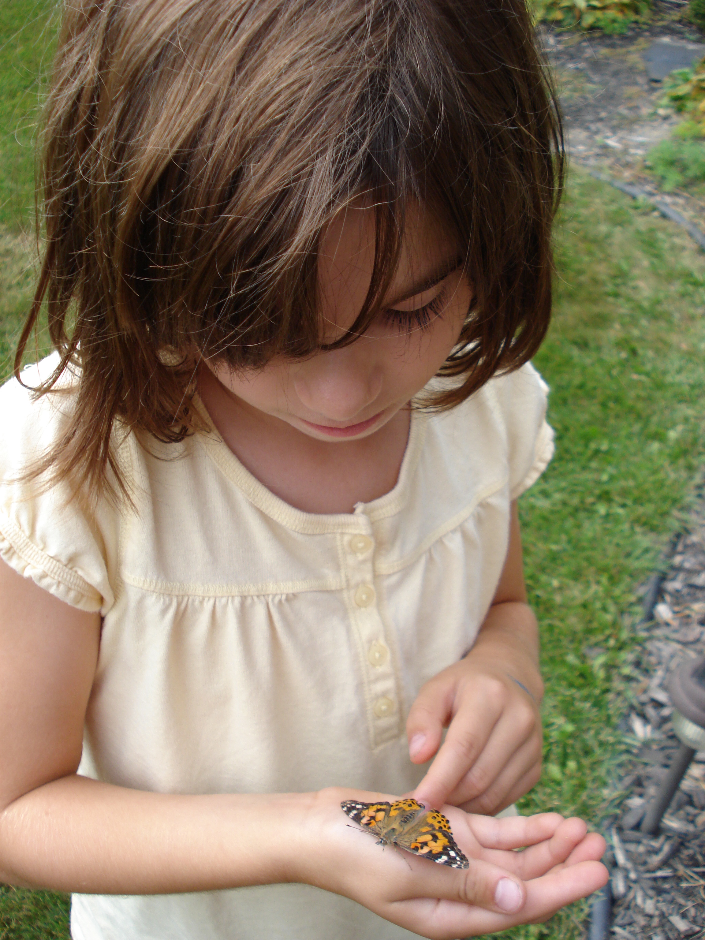 Butterfly Kisses